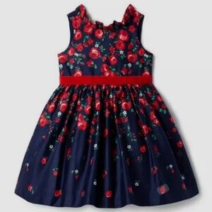 American Girl® x Janie and Jack Wrapped In Roses Holiday Party Dress